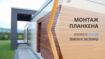 Особенности монтажа планкена из лиственницы